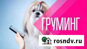 Стрижка собак и кошек Малоярославец - изображение 1