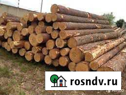 Лес кругляк Иволгинск - изображение 1