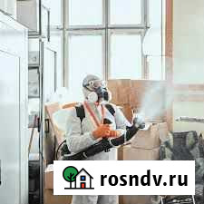 Дезинсекция - уничтожение всех видов насекомых Екатеринбург - изображение 1