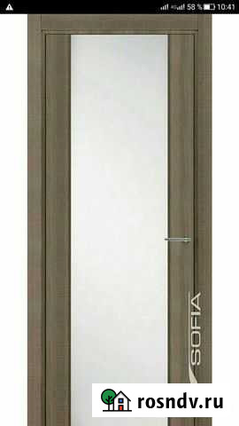 Дверь Софья Озерск - изображение 1