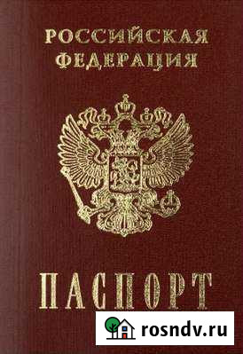 Оформление рвп, внж Красногорск - изображение 1