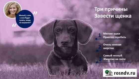 Презентация на заказ Уфа