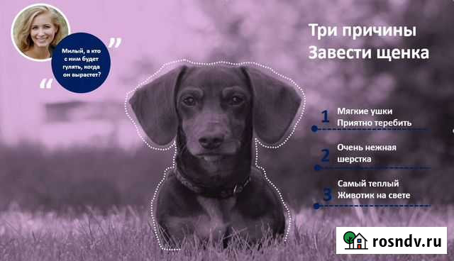 Презентация на заказ Уфа - изображение 1