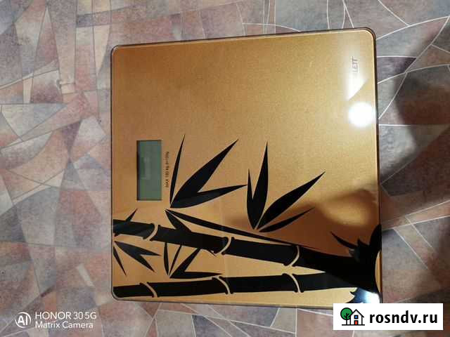 Весы напольные электронные Новокузнецк - изображение 1