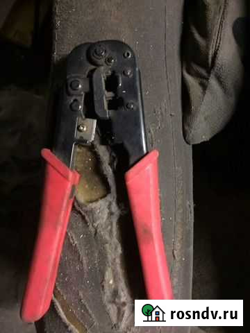 Клещи Кировск - изображение 1