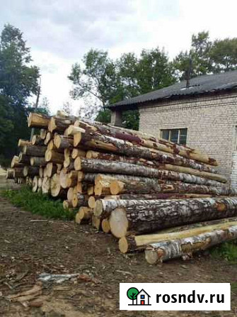 Лес кругляк береза Вышний Волочек - изображение 1