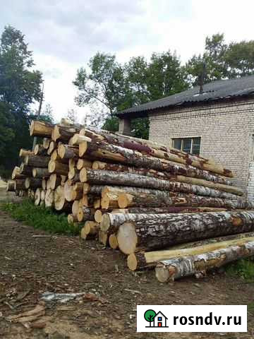 Лес кругляк береза Вышний Волочек - изображение 1