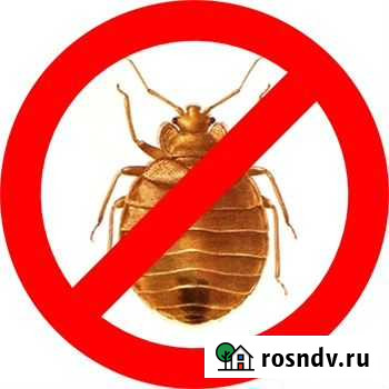 Уничтожение клопов,тараканов Уфа - изображение 1