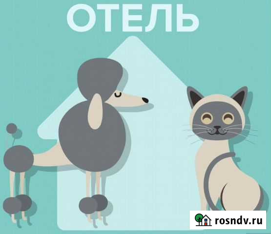 Гостиница для животных Уфа - изображение 1