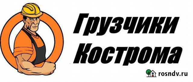 Грузчики Кострома Кострома - изображение 1