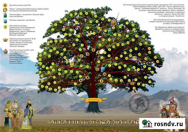 Поиск предков Волгоград - изображение 1