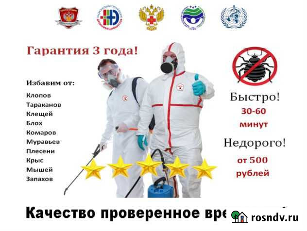 Уничтожение тараканов, клопов, клещей, насекомых Барнаул - изображение 1