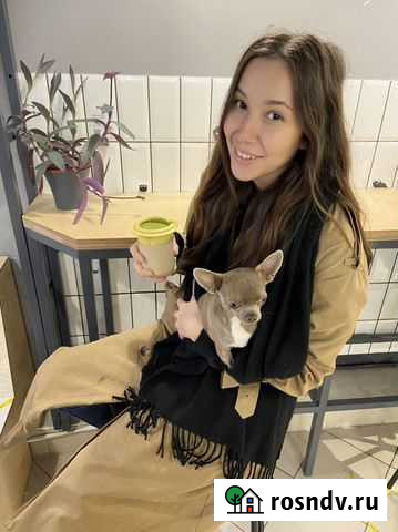 Репетитор начальных классов Новое Девяткино - изображение 1