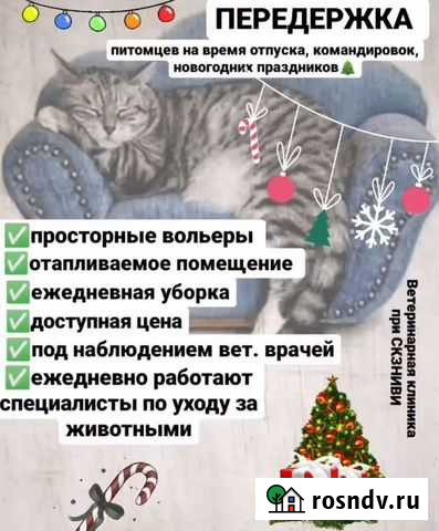 Передержка животных на время отпуска Новочеркасск - изображение 1