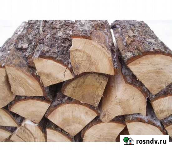 Сухарник (сосна ) Каменск-Уральский - изображение 1