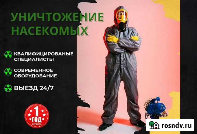 Уничтожение: грызунов, клопов, тараканов, мух Астрахань - изображение 1