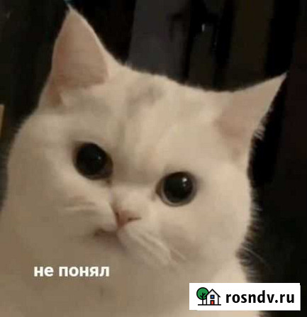 It специалист Выселки - изображение 1