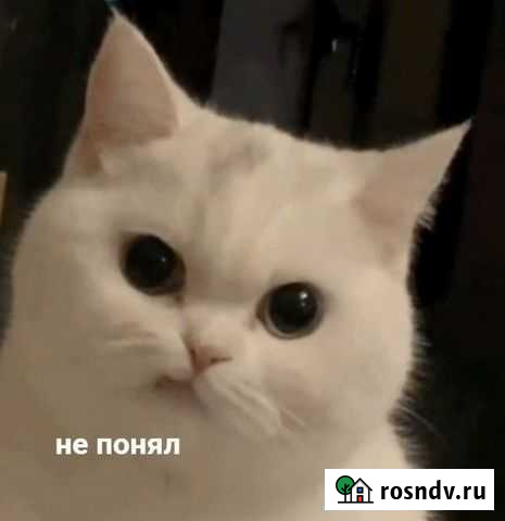 It специалист Выселки - изображение 1