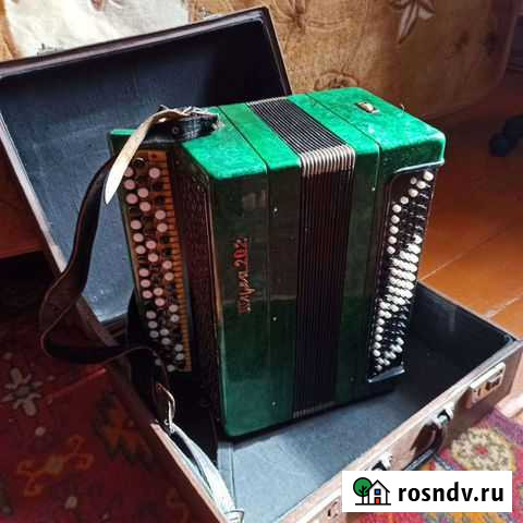 Баян тульский Тяжинский - изображение 1