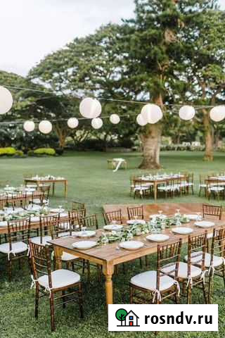 Свадьба под ключ Каспийск - изображение 1