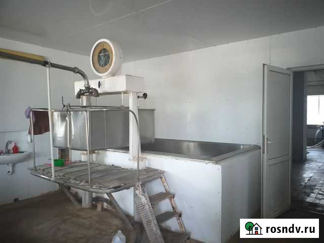 Цех по переработке молока Краснодар - изображение 1