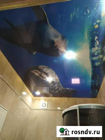 Натяжные потолки Шали - изображение 1