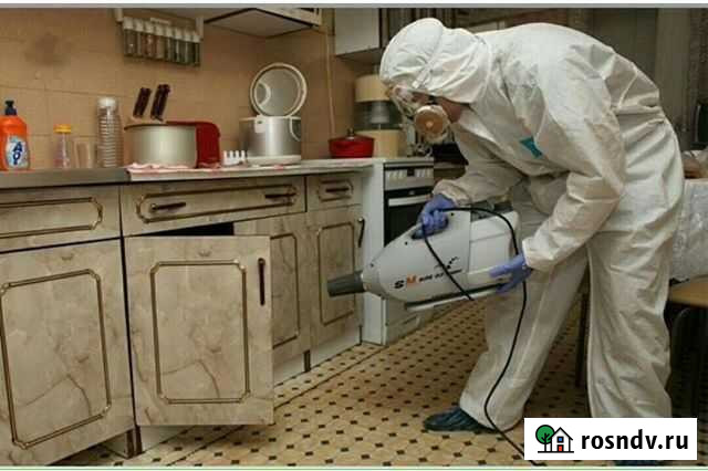 Обработка от клопов,тараканов, муравьёв,комаров Махачкала - изображение 1