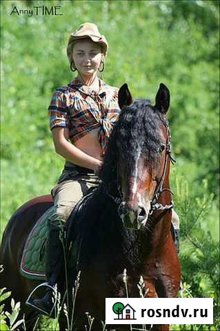 Конные прогулки, обучение Томск - изображение 1