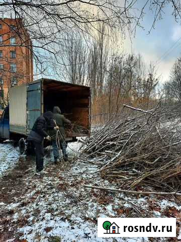 Вывоз мусора Курск - изображение 1