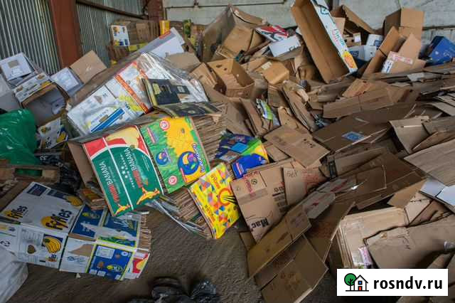 Прием картона Калининград - изображение 1