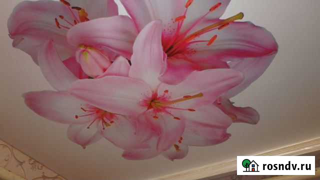 Натяжные потолки Евпатория - изображение 1