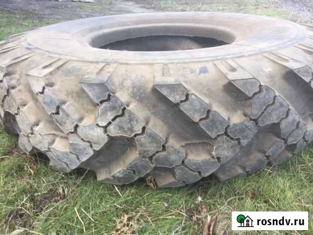 Омскшина Энем - изображение 1