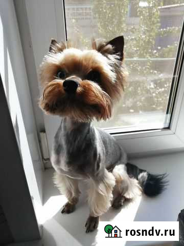 Вязка Вичуга - изображение 1