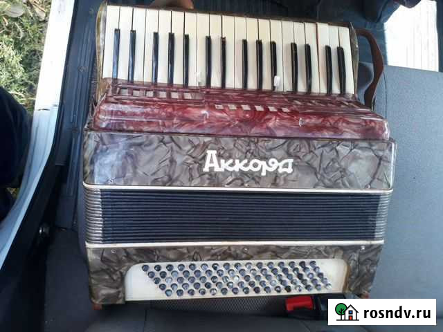 Аккордеон Воронеж - изображение 1