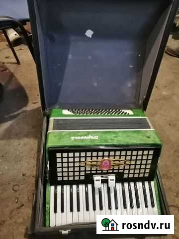 Акардион Магнитогорск - изображение 1