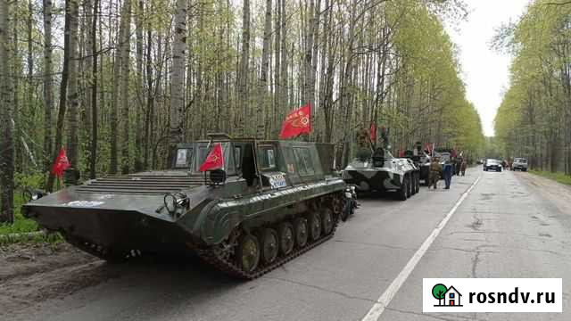 Вездеход, Болотоход Новоспасское - изображение 1