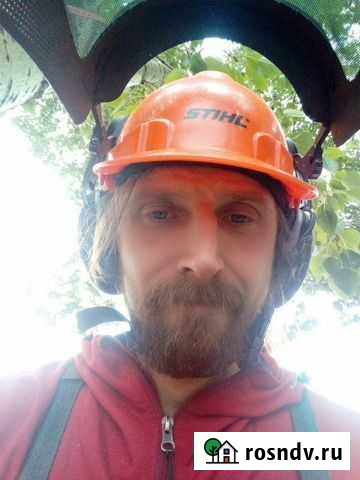 Спилить дерево, обрезать ветки, Казань, Зеленодоль Зеленодольск - изображение 1