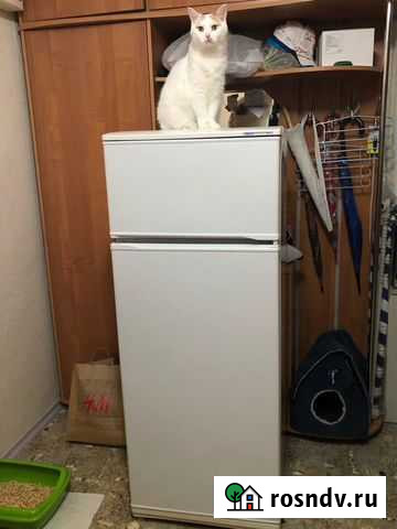 Холодильник Атлант мхм-268 Волгоград - изображение 1