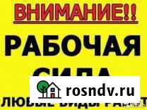 Покос травы Краснослободск - изображение 1