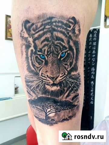 Художественная татуировка Бийск - изображение 1