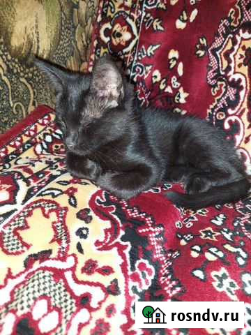 Няня Норильск - изображение 1