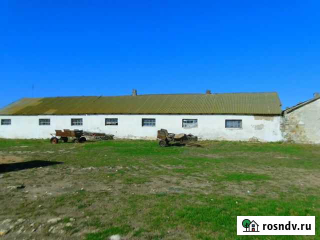 Кошара + 832 га Черноморское - изображение 1