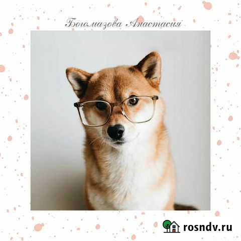 Репетитор по математике, английскому языку Петропавловск-Камчатский - изображение 1