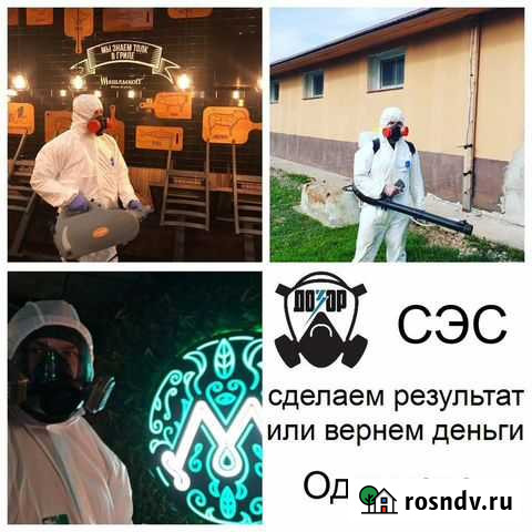 Уничтожение Клопов Тараканов Клещей Кротов Мышей Одинцово - изображение 1