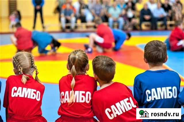 Секция по единоборствам в Костроме Кострома - изображение 1