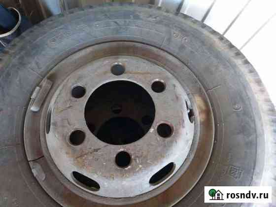 Продам 8.25 R16, 225 80 R17.5 Петропавловск-Камчатский