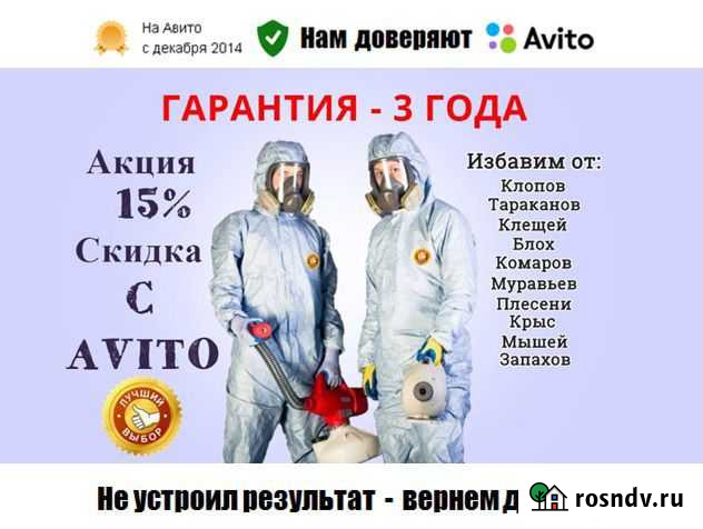 Уничтожение клопов, тараканов, клещей, грызунов Всеволожск - изображение 1