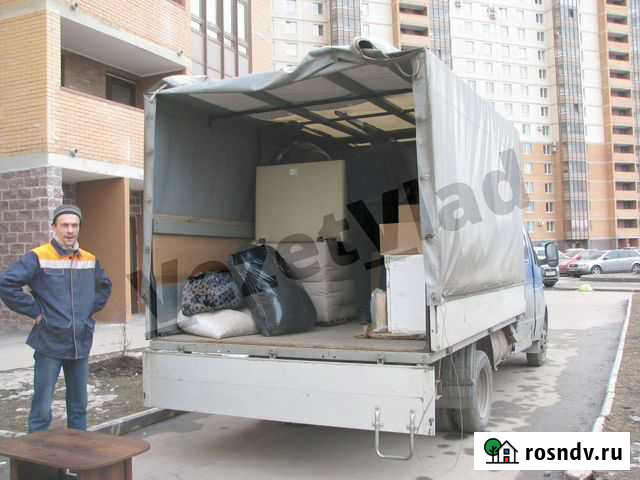 Вывоз мусора Дятлицы Гостилицы - изображение 1