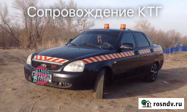 Сопровождение ктг Волгоград - изображение 1