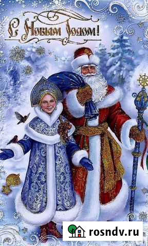 Дед мороз и снегурочка Тюмень - изображение 1